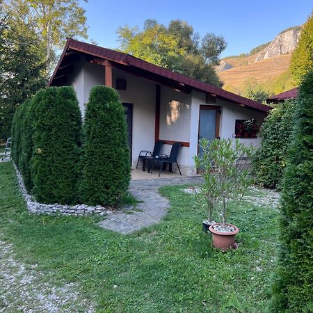 Studiouri Valisoara Buitenkant foto