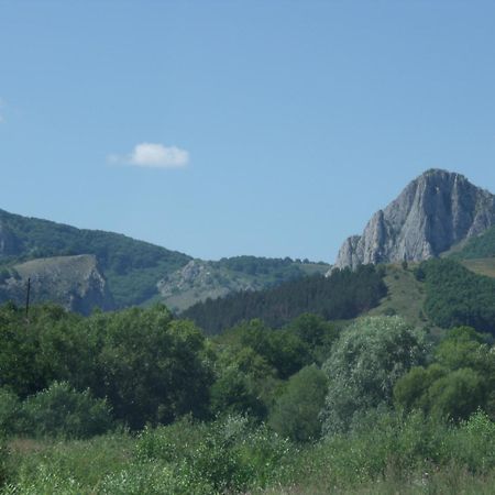 Studiouri Valisoara Buitenkant foto