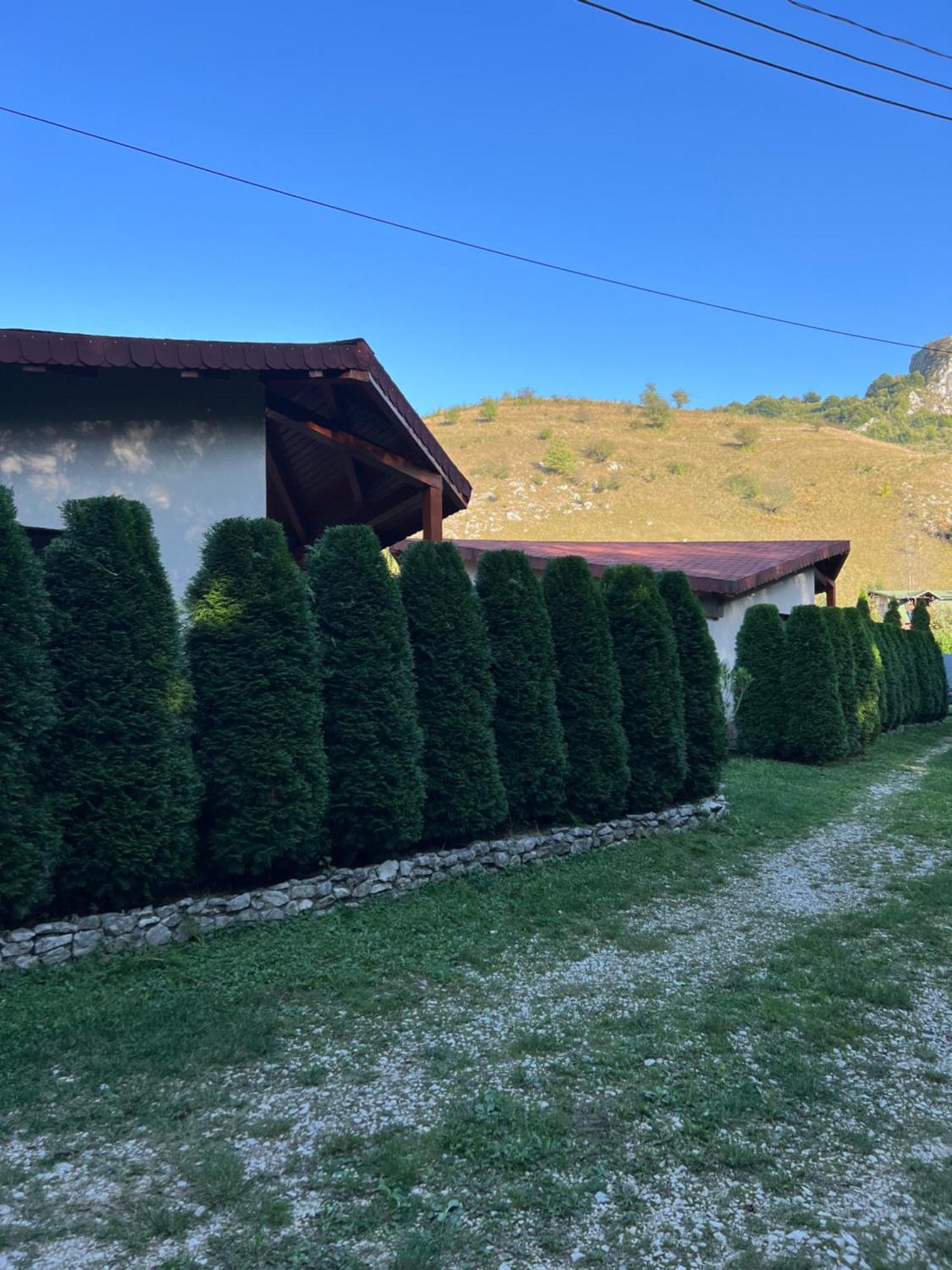 Studiouri Valisoara Buitenkant foto