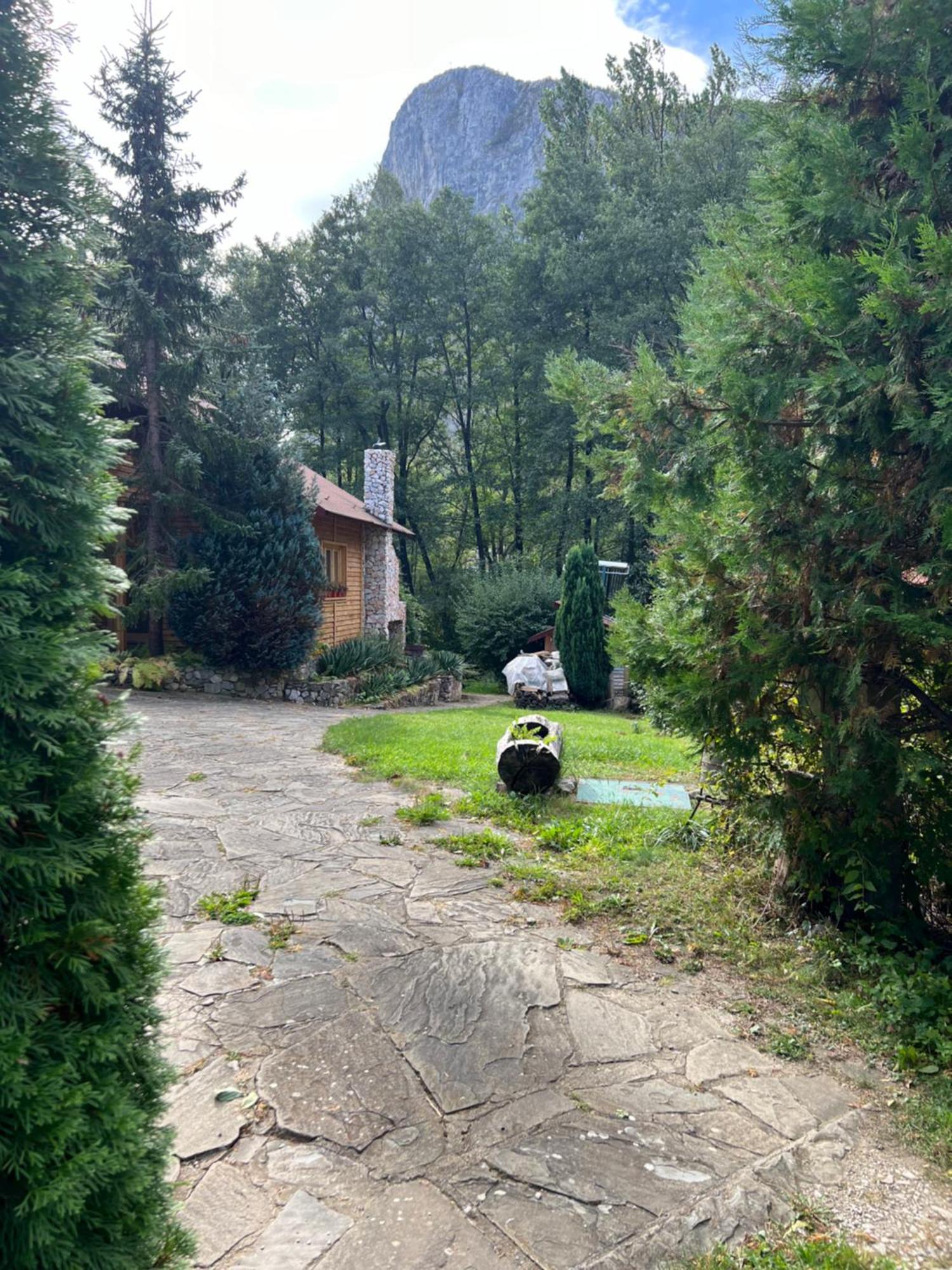 Studiouri Valisoara Buitenkant foto