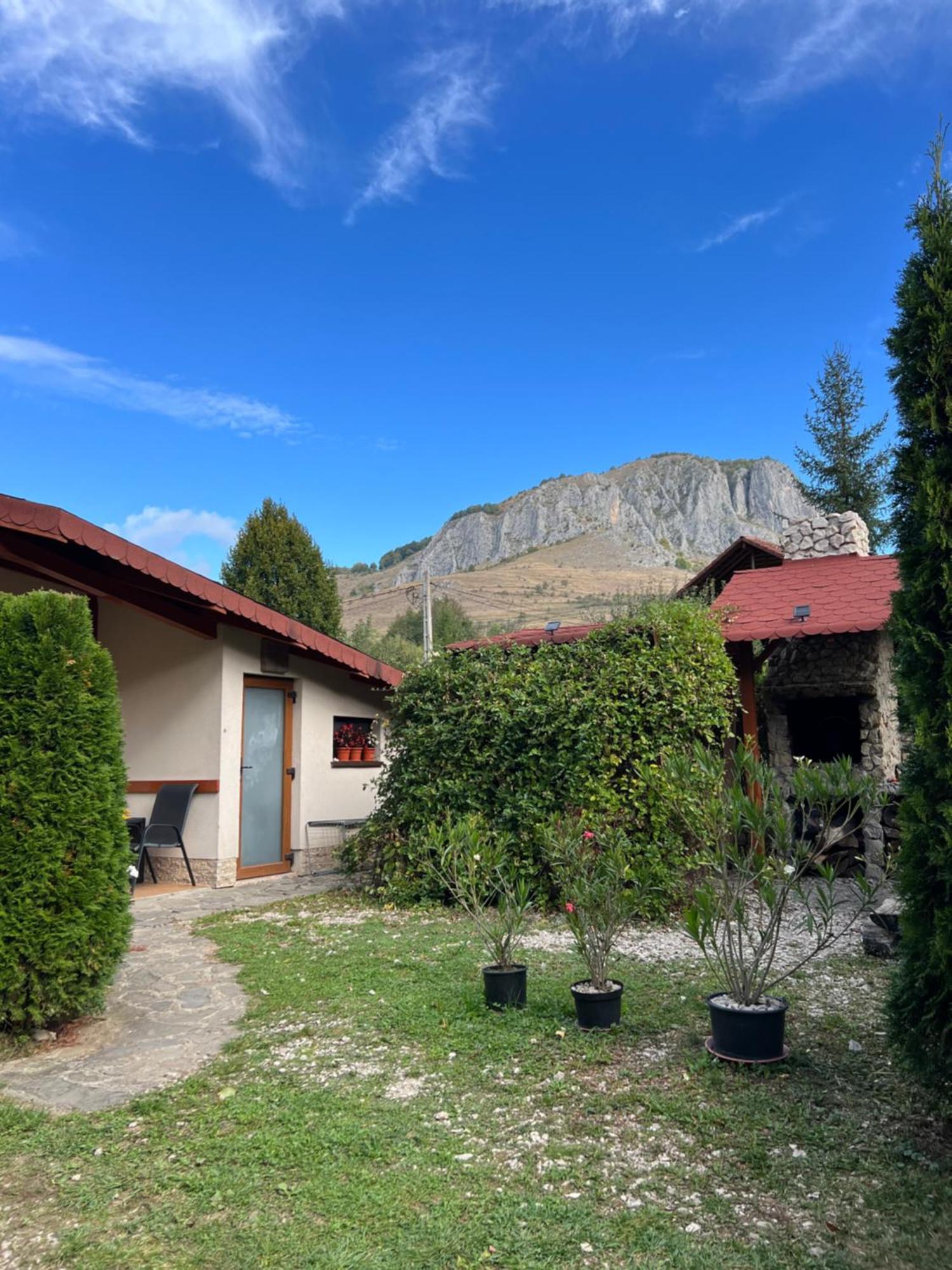 Studiouri Valisoara Buitenkant foto