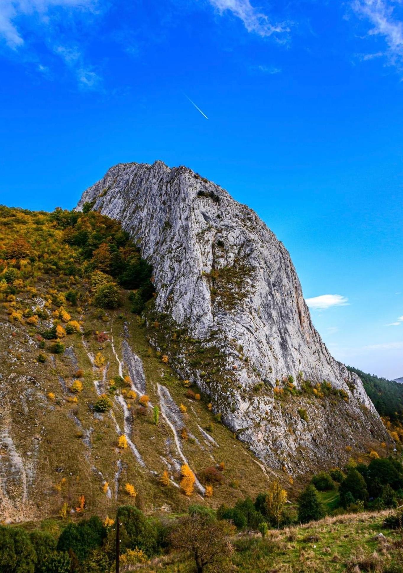 Studiouri Valisoara Buitenkant foto