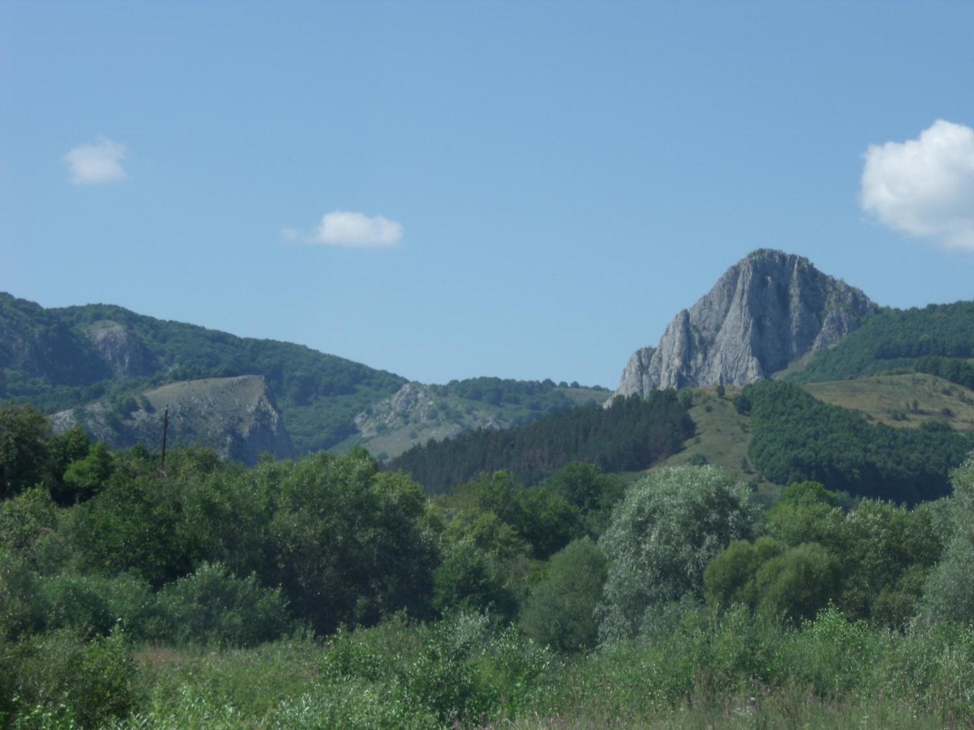 Studiouri Valisoara Buitenkant foto