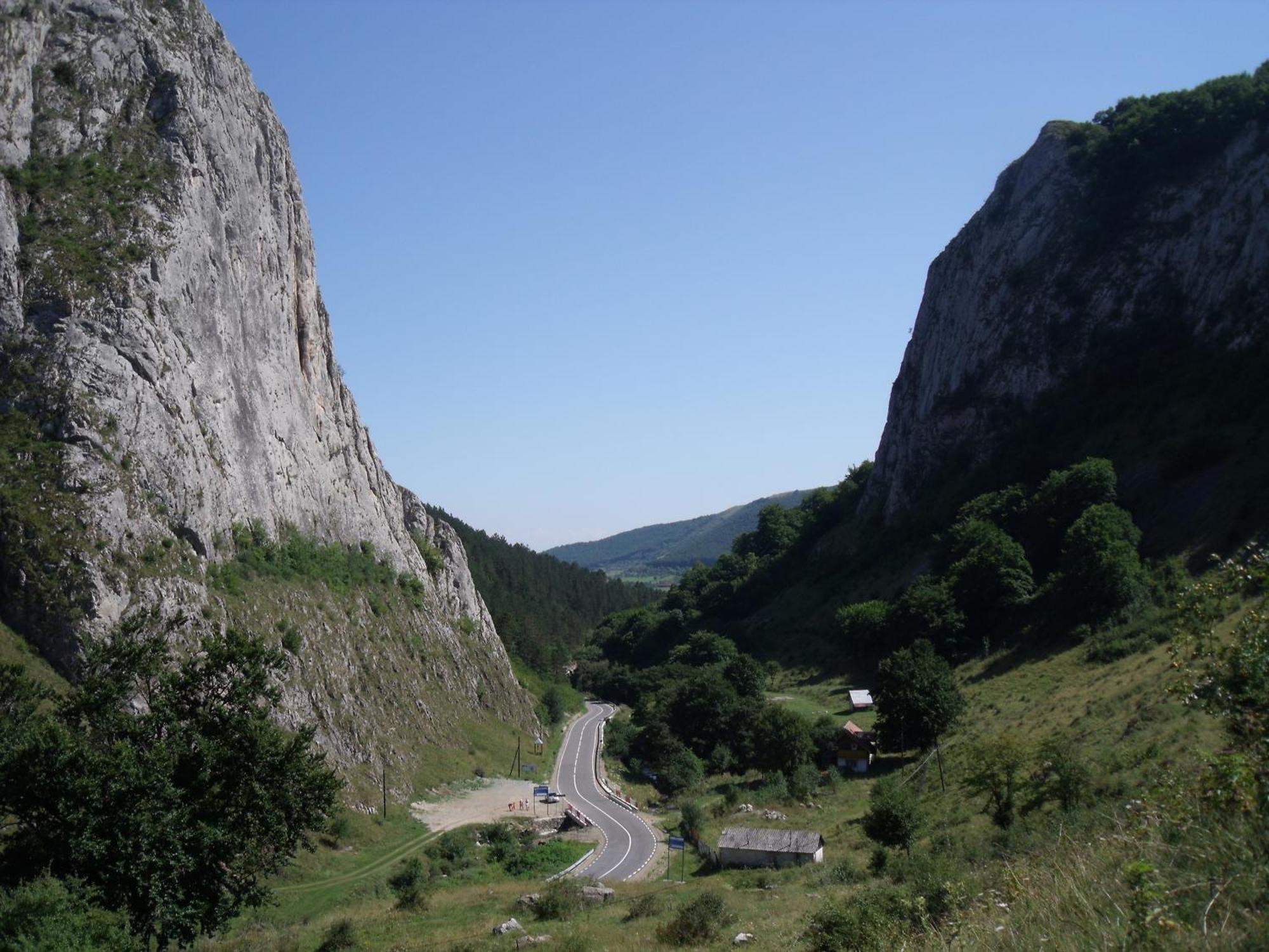 Studiouri Valisoara Buitenkant foto