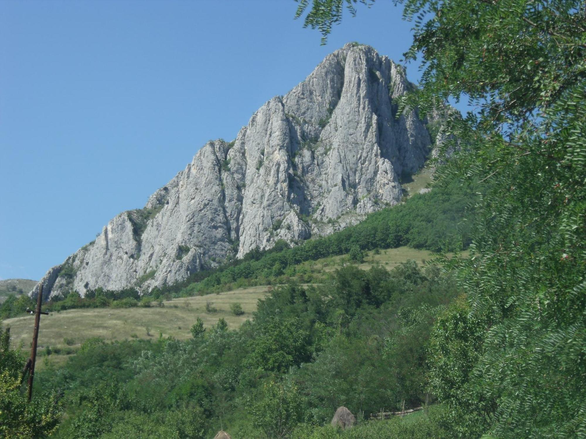 Studiouri Valisoara Buitenkant foto