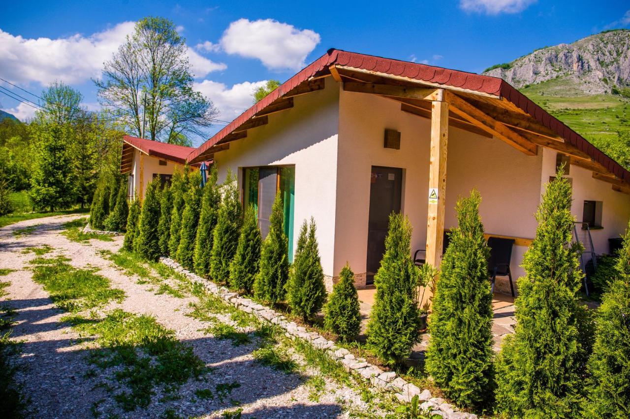 Studiouri Valisoara Buitenkant foto