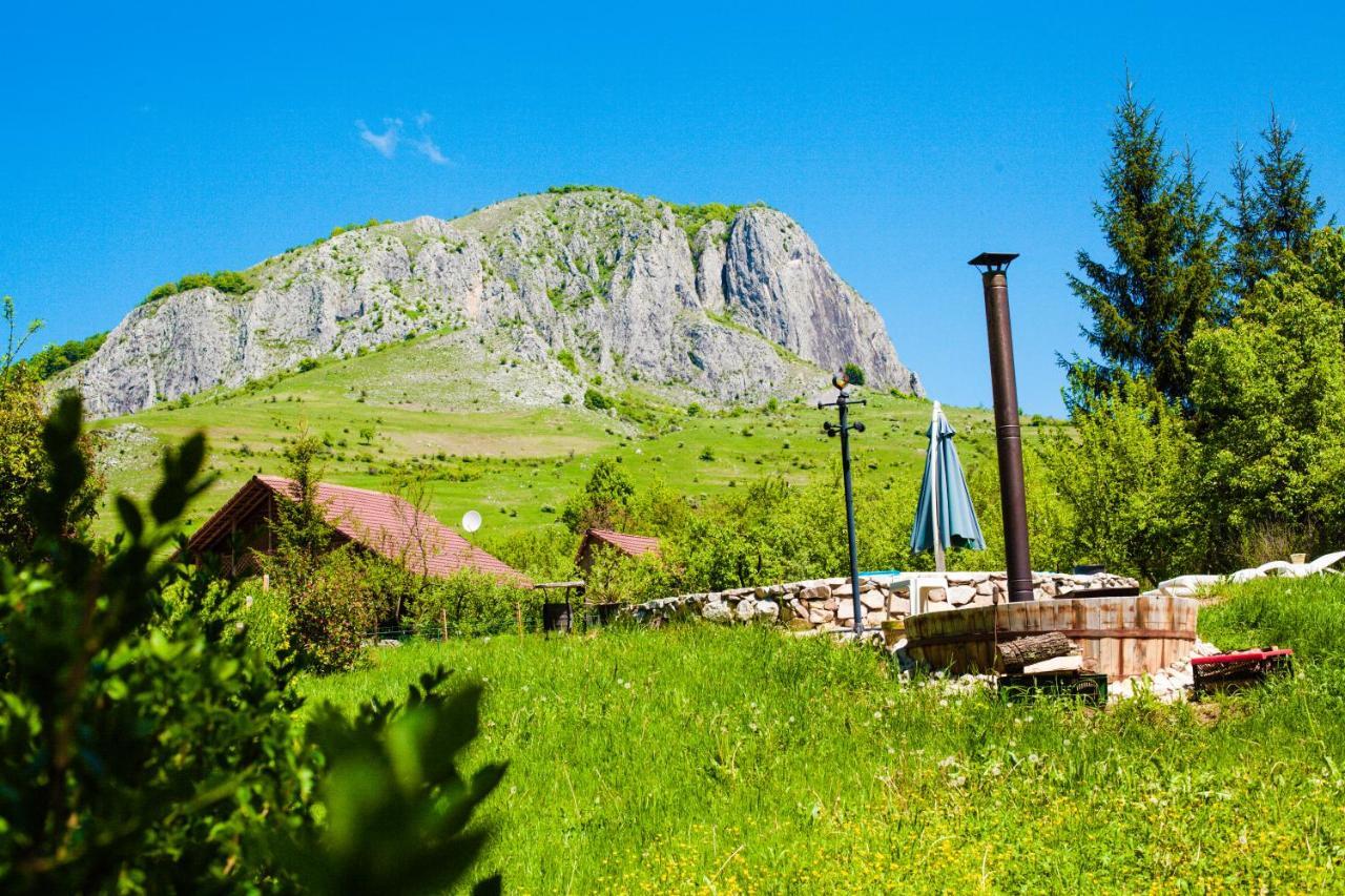 Studiouri Valisoara Buitenkant foto