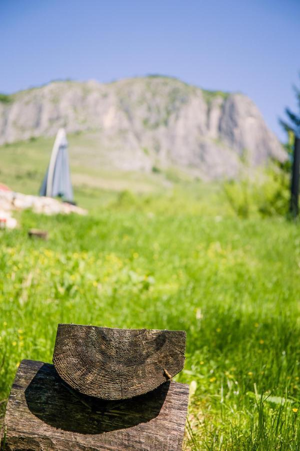 Studiouri Valisoara Buitenkant foto