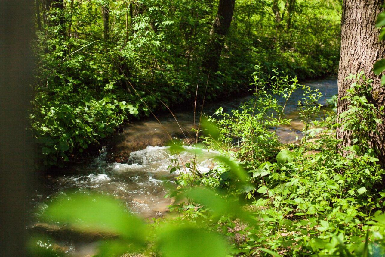 Studiouri Valisoara Buitenkant foto